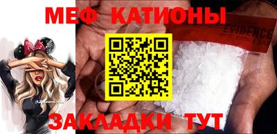 индика Камышлов