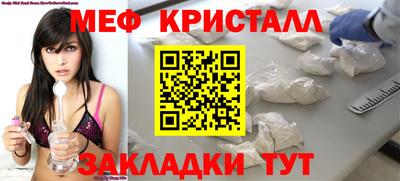 индика Камышлов