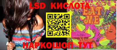 индика Камышлов