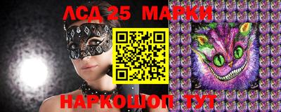 индика Камышлов