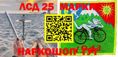 индика Камышлов