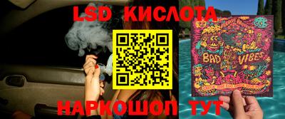 индика Камышлов