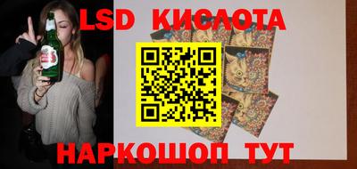 индика Камышлов