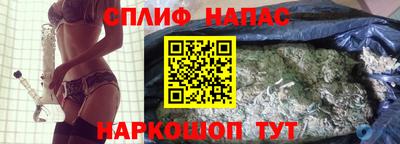 индика Камышлов