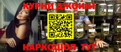 индика Камышлов