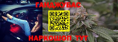 индика Камышлов