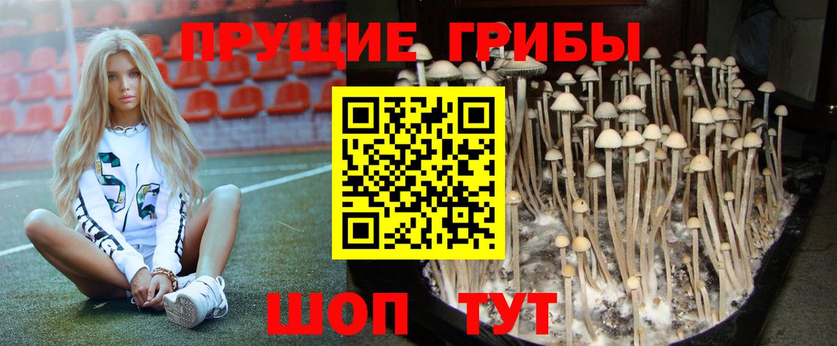 Галлюциногенные грибы мухоморы Лесозаводск