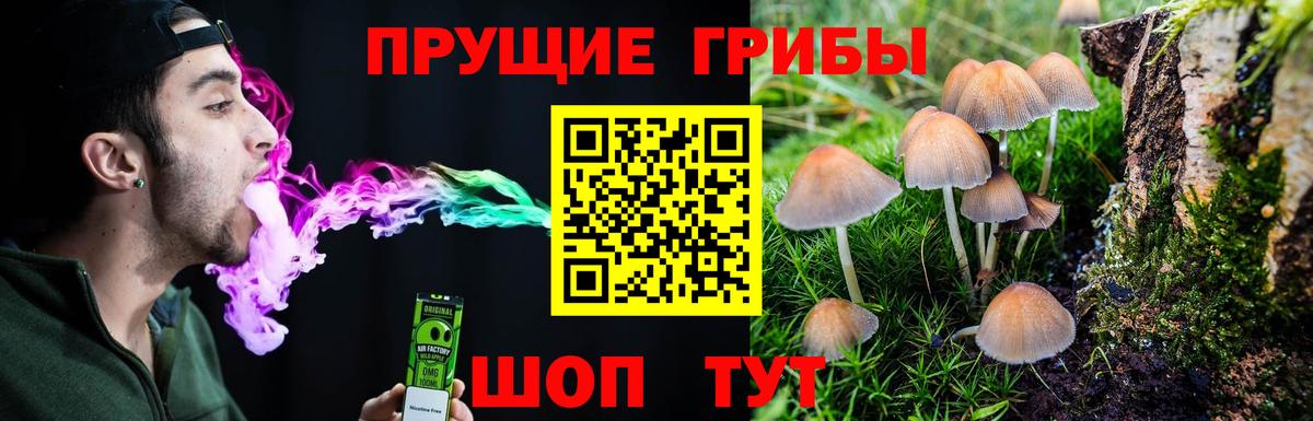 Лесозаводск  Псилоцибиновые грибы мицелий  Галлюциногенные грибы Magic Shrooms  Вход с VPN 